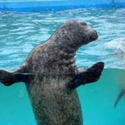 ヒメ日記 2025/10/05 15:48 投稿 上野まりあ お姉さんLABO -艶-