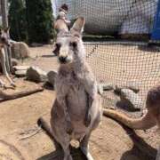 ヒメ日記 2026/02/24 10:18 投稿 上野まりあ お姉さんLABO -艶-