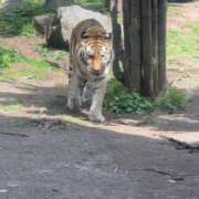 ヒメ日記 2026/02/25 18:18 投稿 上野まりあ お姉さんLABO -艶-