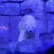 ヒメ日記 2026/02/26 09:07 投稿 上野まりあ お姉さんLABO -艶-