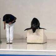 ヒメ日記 2026/02/27 08:18 投稿 上野まりあ お姉さんLABO -艶-