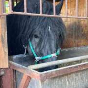 ヒメ日記 2026/03/02 12:27 投稿 上野まりあ お姉さんLABO -艶-