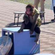 ヒメ日記 2026/05/11 06:38 投稿 上野まりあ お姉さんLABO -艶-