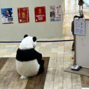 ヒメ日記 2026/06/18 23:28 投稿 上野まりあ お姉さんLABO -艶-