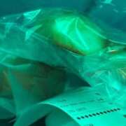 ヒメ日記 2025/10/23 15:44 投稿 りん 学園collection