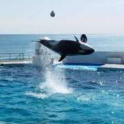 沙織-さおり【FG系列】 すごかった ほんとうの人妻　松戸店