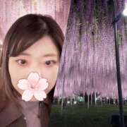 ヒメ日記 2026/04/28 08:47 投稿 沙織-さおり【FG系列】 ほんとうの人妻　松戸店