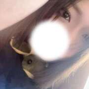 ヒメ日記 2026/03/20 14:18 投稿 ひびき ぐっどがーる浜松店