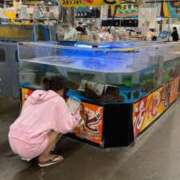 ヒメ日記 2026/03/23 03:47 投稿 ひびき ぐっどがーる浜松店