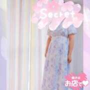 ヒメ日記 2025/09/27 11:00 投稿 さくら ドッチパイモミ 越谷店