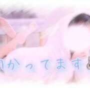 ヒメ日記 2025/10/24 22:47 投稿 れむ フェアリー【都城店】