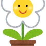 ヒメ日記 2025/09/15 00:01 投稿 依那(えな)♥極上スレンダー美女 美魔女コレクション