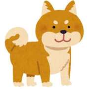 ヒメ日記 2025/09/16 10:33 投稿 依那(えな)♥極上スレンダー美女 美魔女コレクション