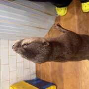 ヒメ日記 2026/04/19 16:31 投稿 雪村 りさ ピュアエンジェル