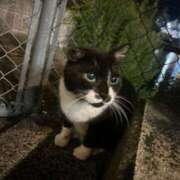 ヒメ日記 2025/09/20 10:50 投稿 ヒナ いたずらバニーちゃん