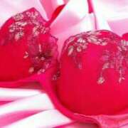 ヒメ日記 2025/09/29 19:53 投稿 川島 美香 こあくまな熟女たち 鶯谷・日暮里店(KOAKUMAグループ)