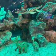 ヒメ日記 2025/11/28 02:08 投稿 みゆき LOVE横浜店(Iグループ)