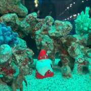 ヒメ日記 2025/12/01 00:10 投稿 みゆき LOVE横浜店(Iグループ)