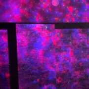 ヒメ日記 2025/12/03 02:58 投稿 みゆき LOVE横浜店(Iグループ)