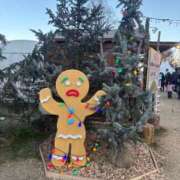 ヒメ日記 2025/12/12 14:58 投稿 みゆき LOVE横浜店(Iグループ)