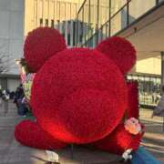 ヒメ日記 2026/01/27 22:34 投稿 みゆき LOVE横浜店(Iグループ)