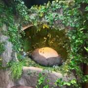 ヒメ日記 2026/01/28 15:08 投稿 みゆき LOVE横浜店(Iグループ)