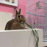 ヒメ日記 2026/02/01 10:58 投稿 みゆき LOVE横浜店(Iグループ)