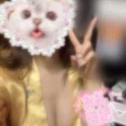 ヒメ日記 2026/01/11 11:14 投稿 かりん いざ候 別館