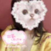 ヒメ日記 2026/01/24 14:24 投稿 かりん いざ候 別館