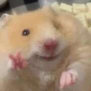 ヒメ日記 2026/02/13 12:54 投稿 かりん いざ候 別館