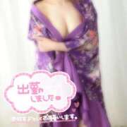 ヒメ日記 2026/03/21 11:04 投稿 かりん いざ候 別館