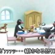 ヒメ日記 2026/04/29 09:14 投稿 かりん いざ候 別館