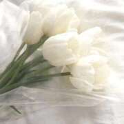 ヒメ日記 2025/11/19 20:14 投稿 翠 東京人妻フォーシーズンズ