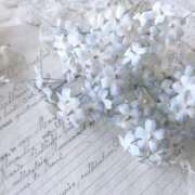 ヒメ日記 2025/11/20 05:44 投稿 翠 東京人妻フォーシーズンズ