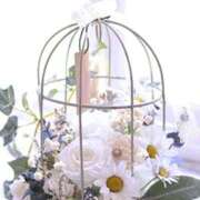 ヒメ日記 2025/11/21 06:34 投稿 翠 東京人妻フォーシーズンズ