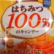 ヒメ日記 2025/11/25 05:24 投稿 翠 東京人妻フォーシーズンズ