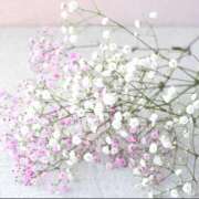 ヒメ日記 2025/11/28 05:34 投稿 翠 東京人妻フォーシーズンズ