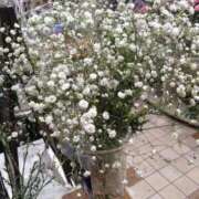 ヒメ日記 2025/12/03 06:34 投稿 翠 東京人妻フォーシーズンズ