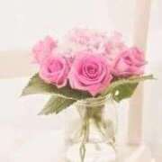 翠 Wさまへ✨️ 東京人妻フォーシーズンズ