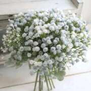 翠 まにあいました💦 東京人妻フォーシーズンズ