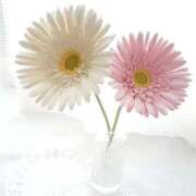 ヒメ日記 2025/12/09 06:34 投稿 翠 東京人妻フォーシーズンズ