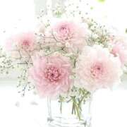 ヒメ日記 2025/12/14 08:44 投稿 翠 東京人妻フォーシーズンズ