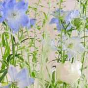 ヒメ日記 2025/12/16 06:14 投稿 翠 東京人妻フォーシーズンズ