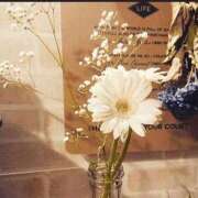 ヒメ日記 2025/12/18 06:24 投稿 翠 東京人妻フォーシーズンズ