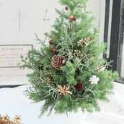 ヒメ日記 2025/12/23 05:14 投稿 翠 東京人妻フォーシーズンズ