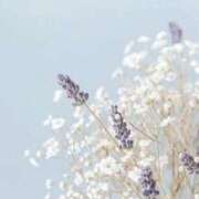 ヒメ日記 2025/12/24 20:34 投稿 翠 東京人妻フォーシーズンズ