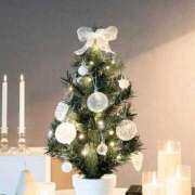 ヒメ日記 2025/12/25 06:04 投稿 翠 東京人妻フォーシーズンズ