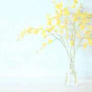 ヒメ日記 2025/12/28 18:14 投稿 翠 東京人妻フォーシーズンズ