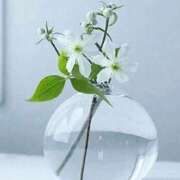 ヒメ日記 2026/01/04 09:44 投稿 翠 東京人妻フォーシーズンズ