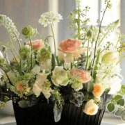 ヒメ日記 2026/01/05 05:34 投稿 翠 東京人妻フォーシーズンズ